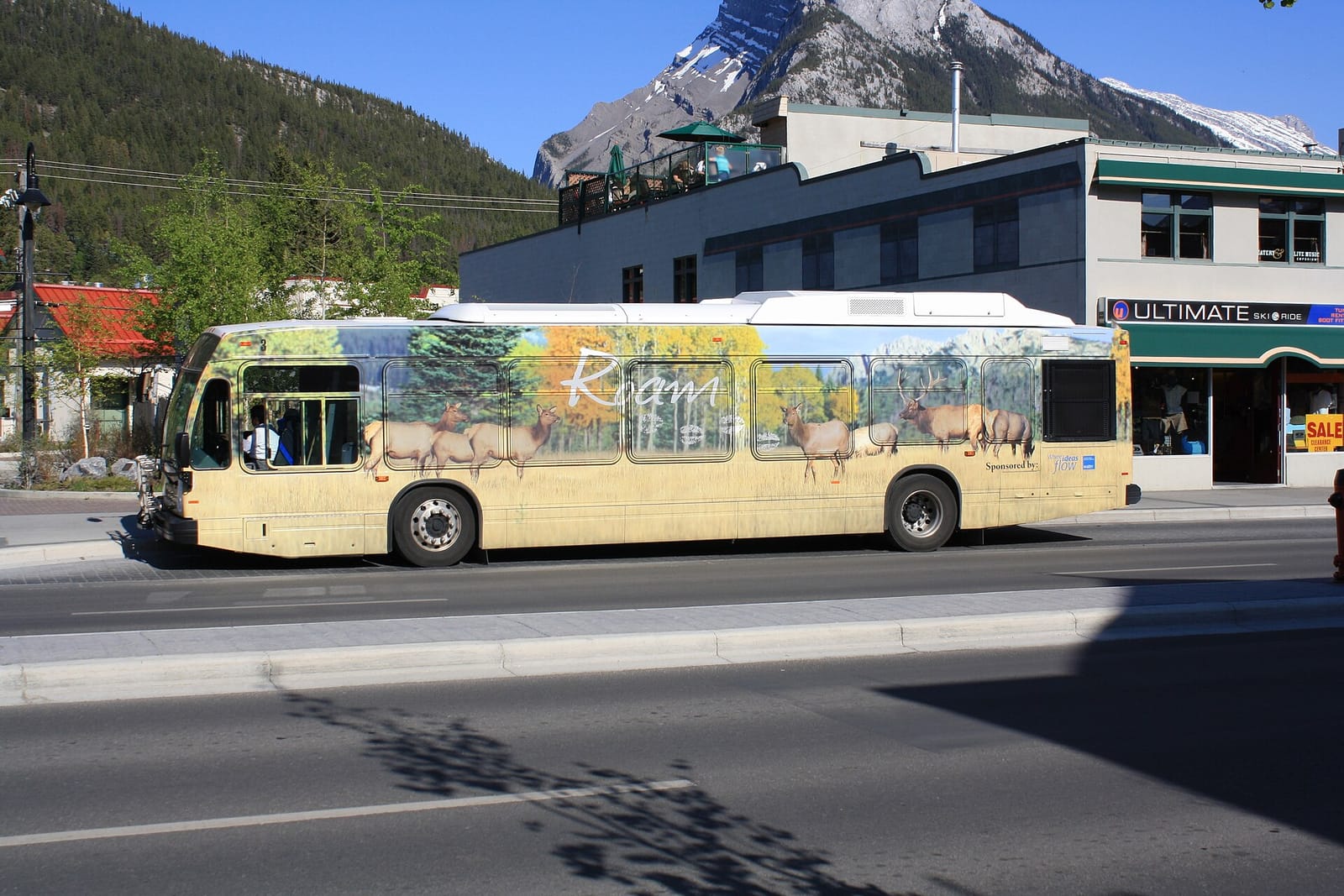 Roam bus with elk artwork on a street in Banff