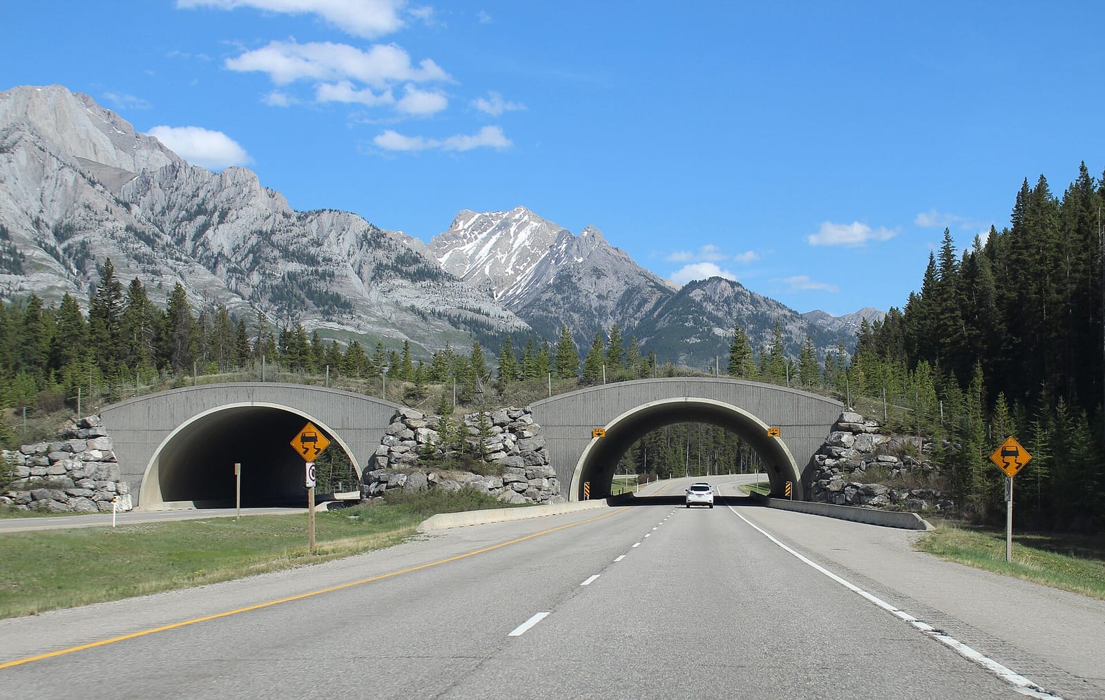 Wildlife crossing over the Trans-Canada Highway in Banff, with mountains behind