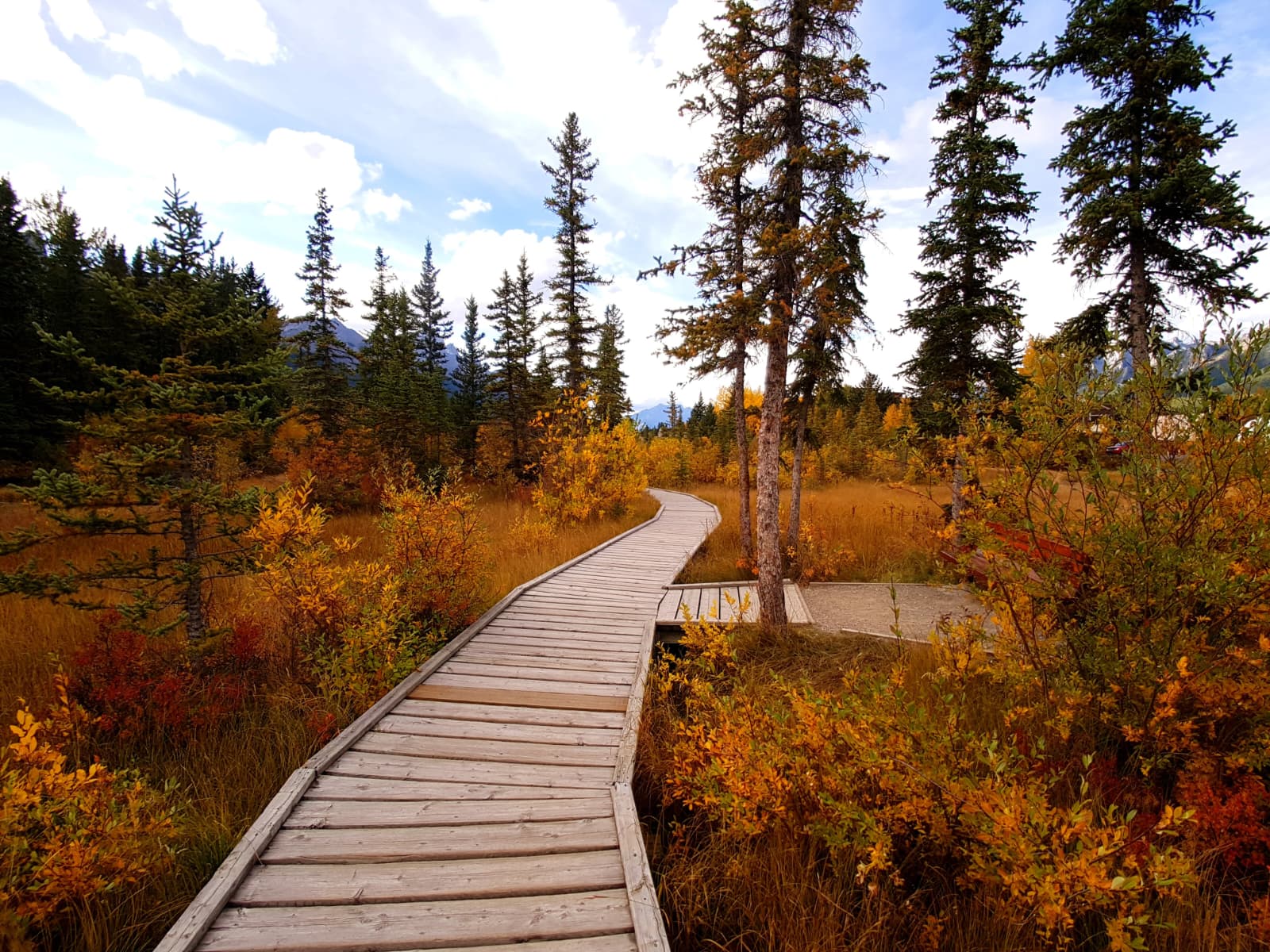 Policeman's Creek Boardwalk (2/2)