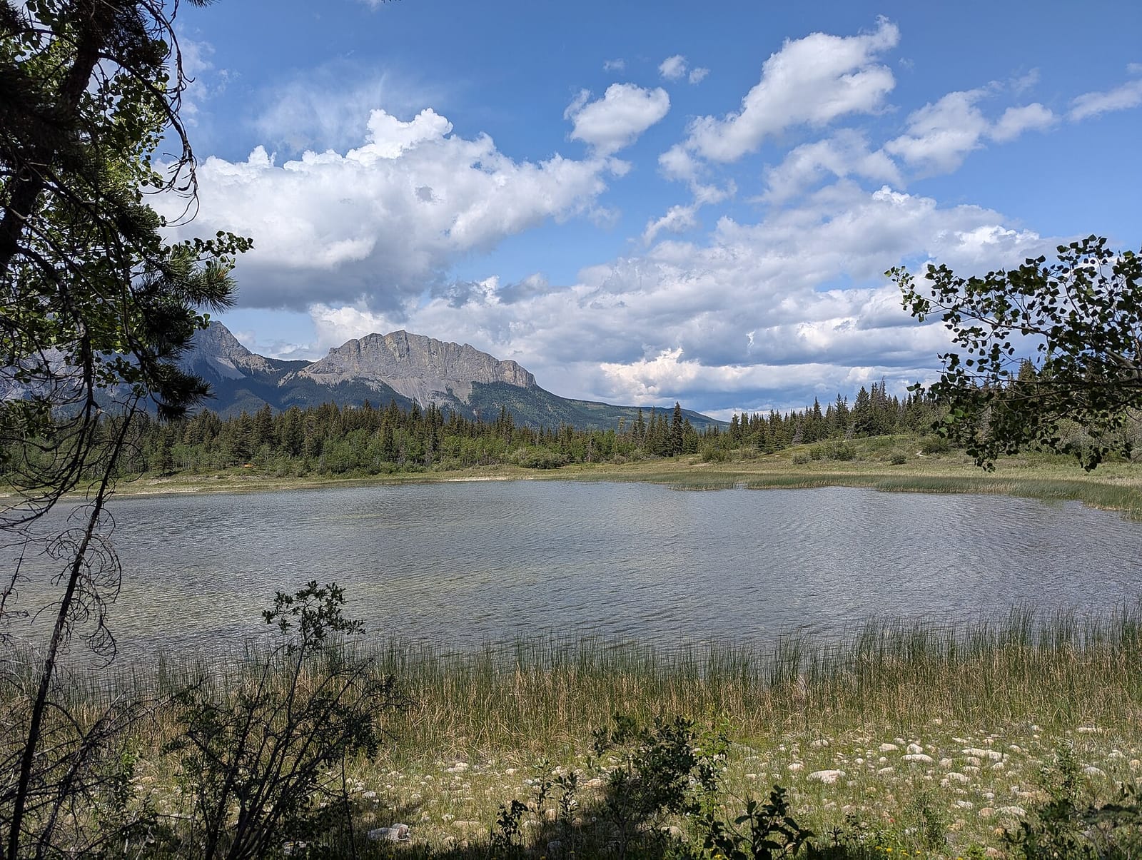 Middle Lake among meadows, with mountains behind