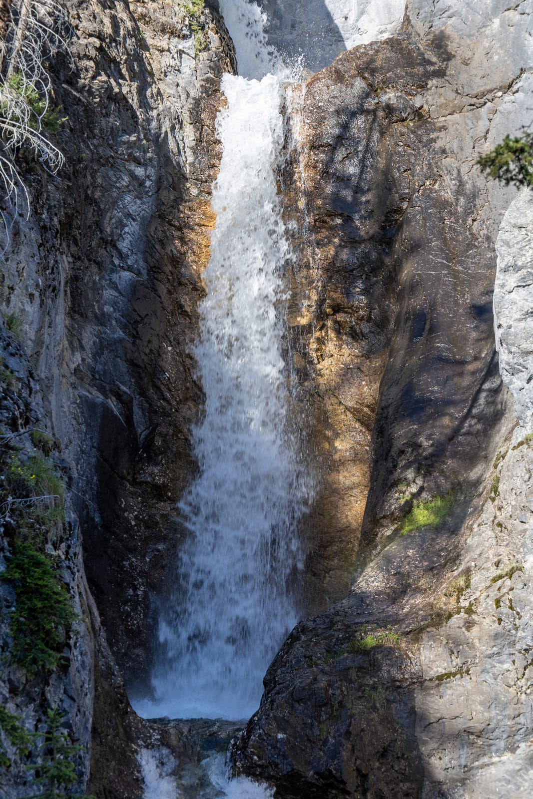 Silverton Falls Trail (2/2)