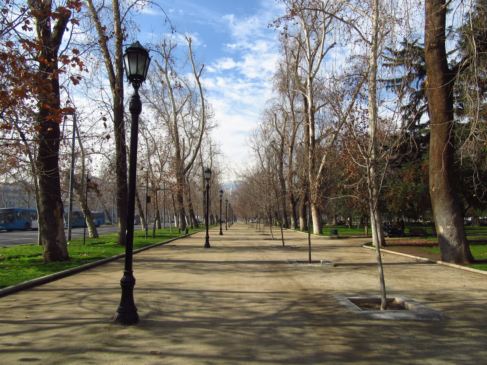 Parque Forestal (2/2)