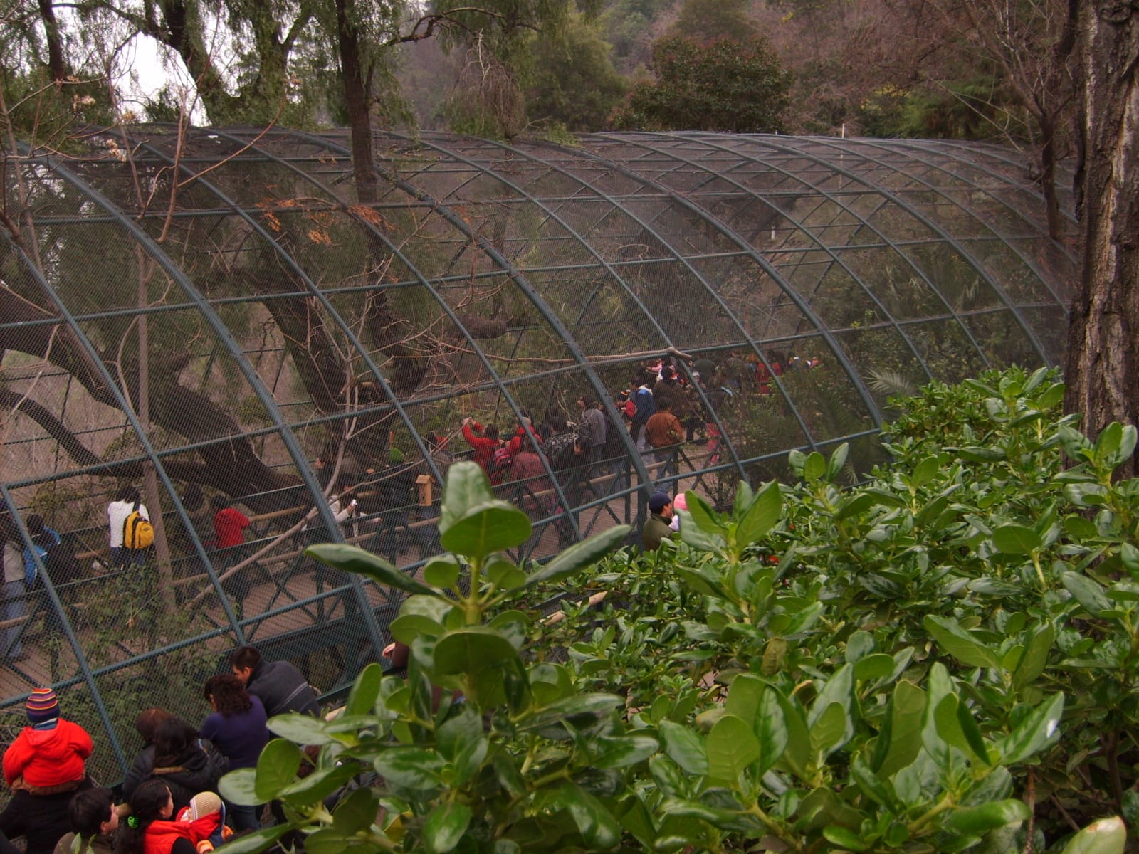 Zoológico Nacional (Parquemet) (2/4)