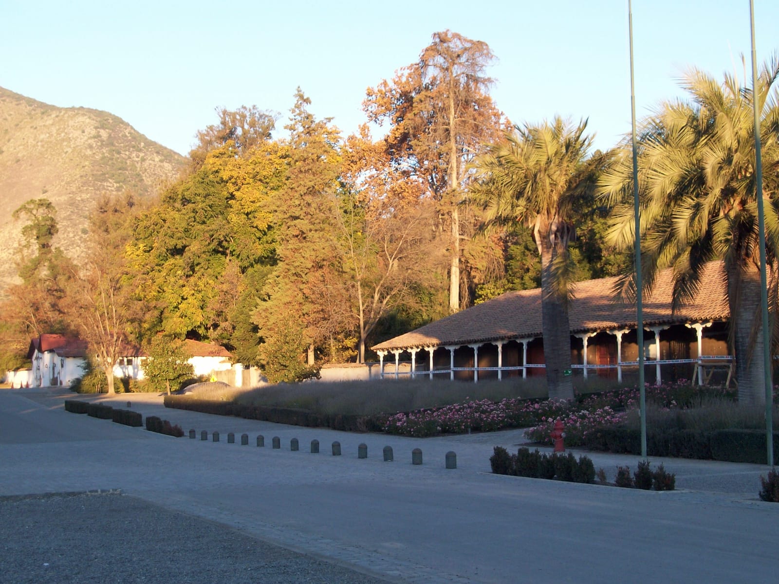 Viña Santa Rita y Museo Andino (3/3)
