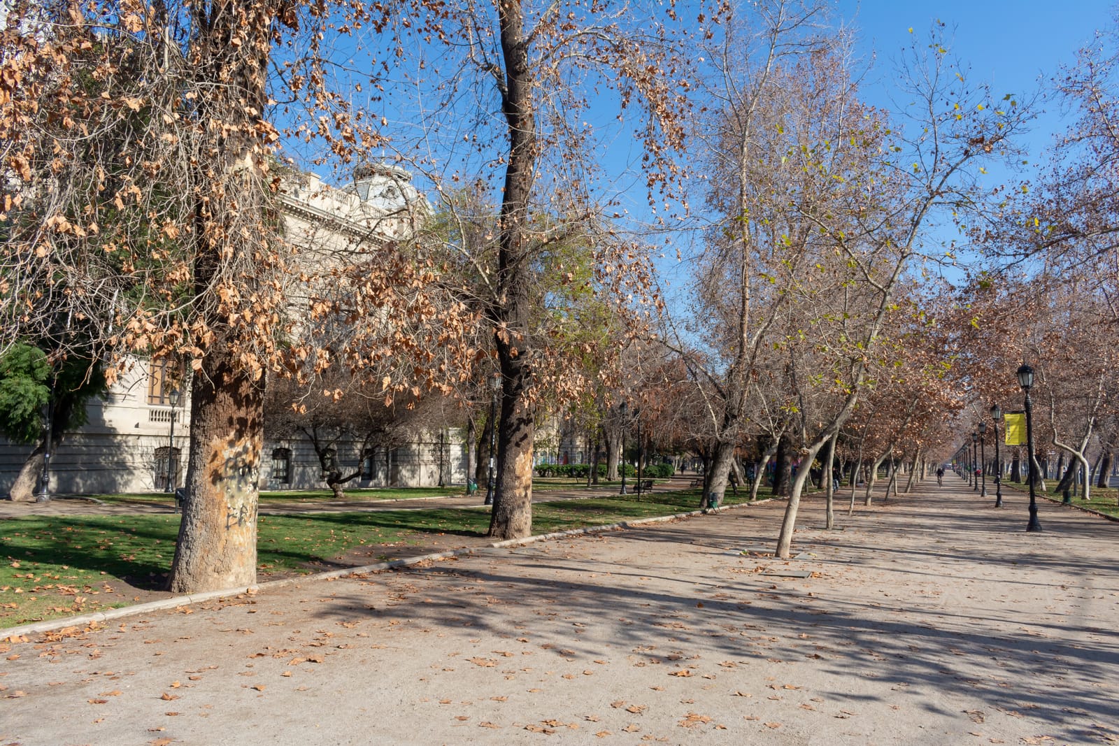 Barrio Bellas Artes (2/3)