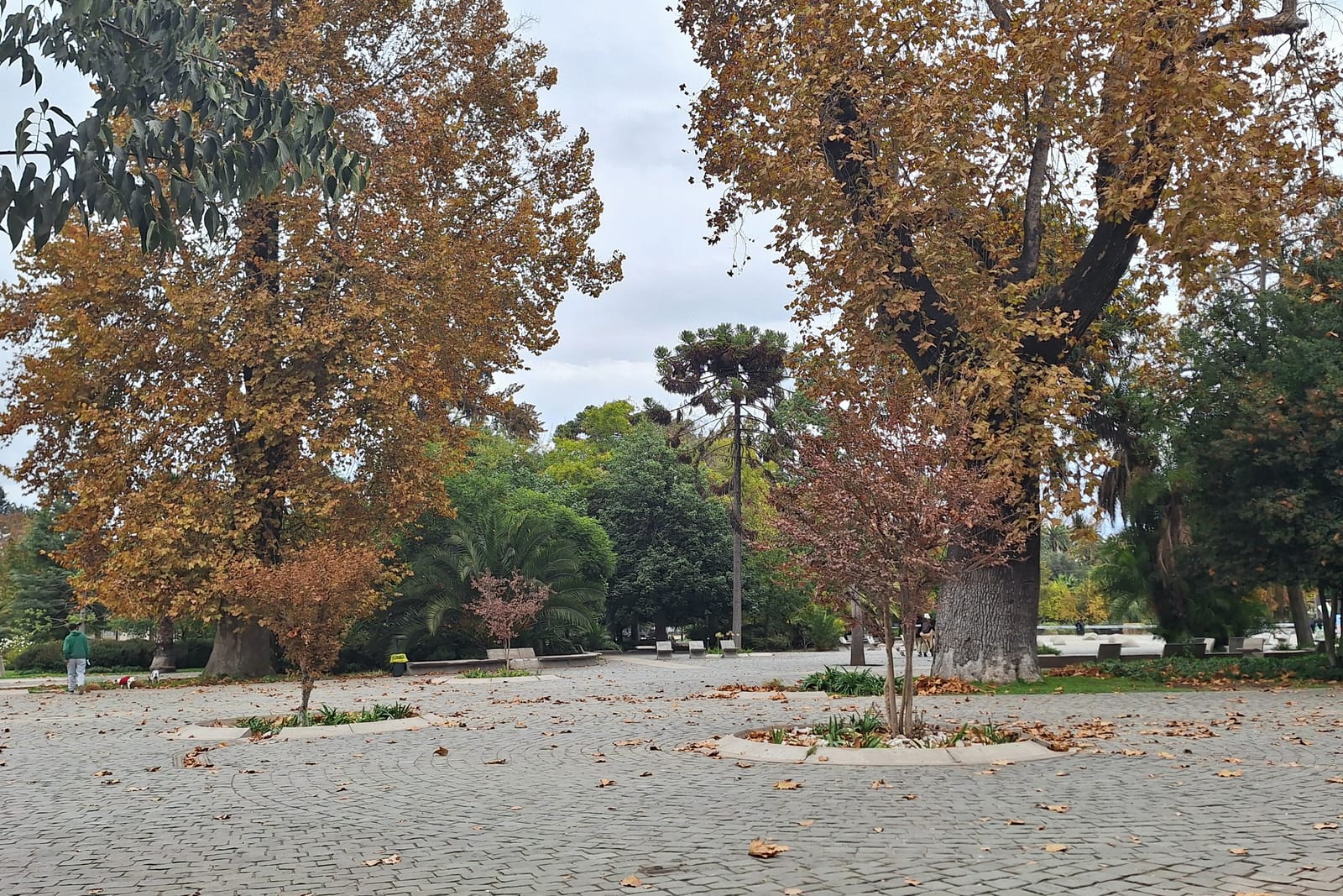 Parque Quinta Normal (2/3)