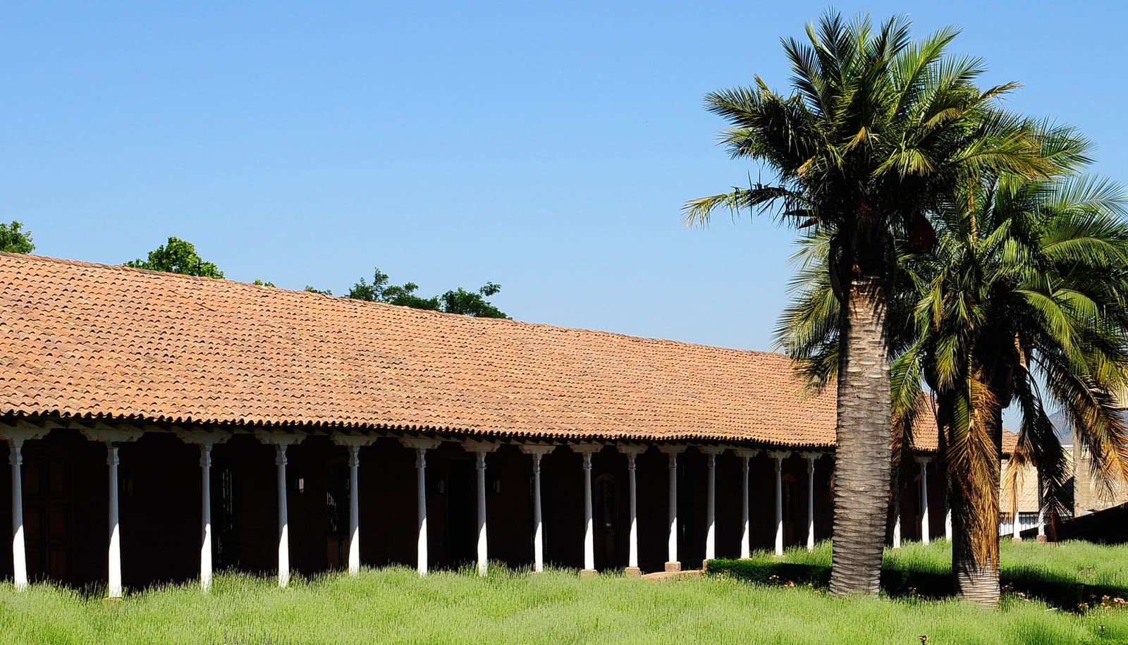 Viña Santa Rita y Museo Andino (2/3)