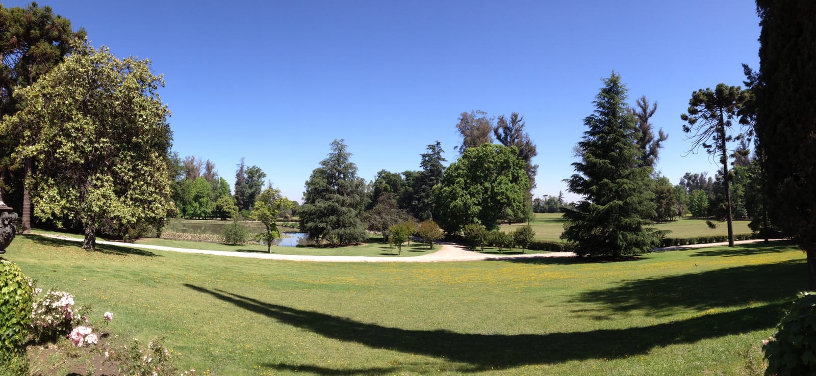 Viña Concha y Toro (Pirque) (3/3)