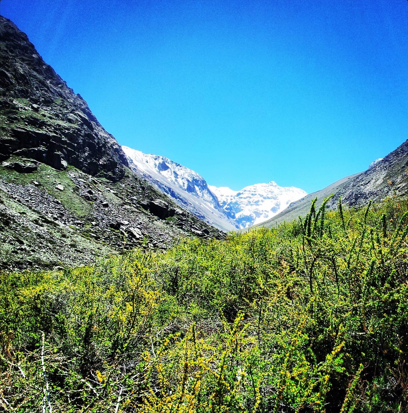Green Yerba Loca valley with snowy peaks in the background