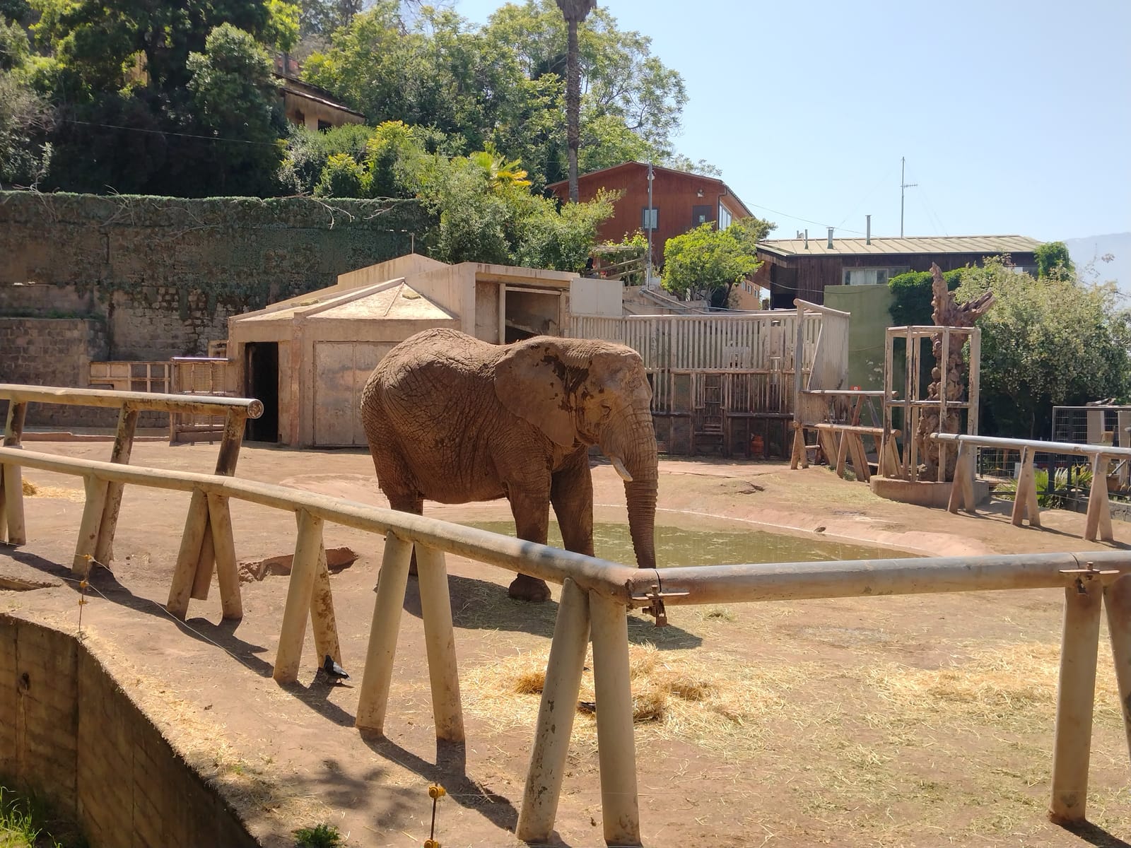 Zoológico Nacional (Parquemet) (3/4)
