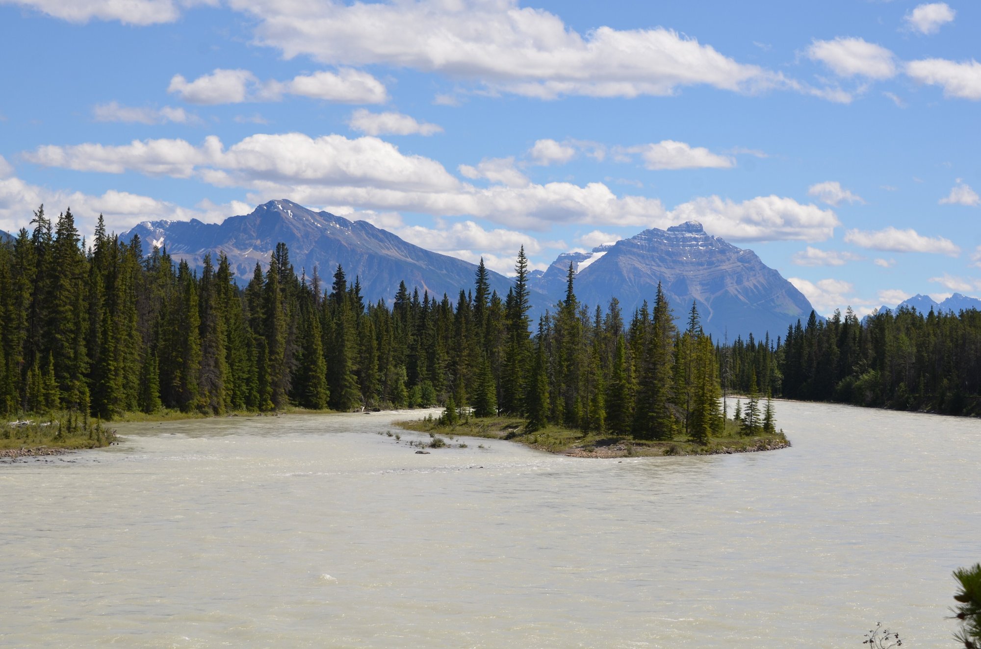El río Athabasca junto a Wapiti